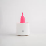 Helloqween Steamer Sterilizer