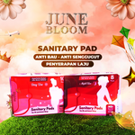 Helloqween Sanitary Pad Anti odor & improve blood flow